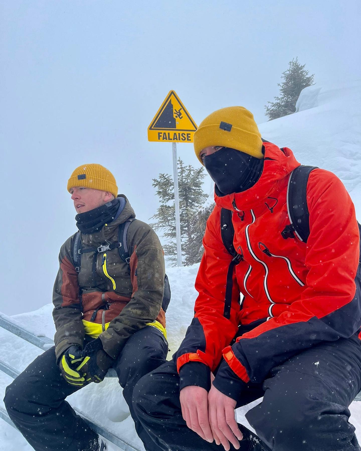 Original beanie in Mustard